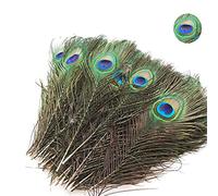 Aatpuss 20 Piezas Plumas de pavo real natural, 25-30 cm plumas de pavo real con ojo natural, Plumas de pavo real decorativas con ojo, plumas de pavo real natural adecuado para la artesanía, ropa
