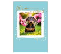 Abacus Cards Tarjeta de felicitación de cumpleaños para mamá, diseño de perro salchicha y rosas, tarjeta de felicitación de cumpleaños con acabado de aluminio para ella, "especially for you"