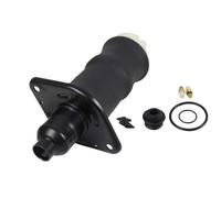 ABAKUS Fuelle, suspensión neumática para AUDI: A6 (Ref: 131-02-313)