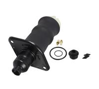 ABAKUS Fuelle, suspensión neumática para AUDI: A6 (Ref: 131-02-314)