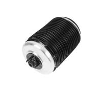 ABAKUS Fuelle, suspensión neumática para AUDI: S7, S6, RS7, RS6, A7, A6 (Ref: 131-02-312)