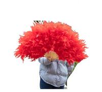Abanico De Plumas Abanicos de Plumas Naturales Coloridas, Accesorios artesanía Profesional for espectáculos Escenario, decoración Fiesta, Carnaval, Alloween Actuación(Red,1pcs 45-80cm)
