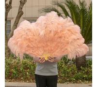 Abanico de plumas de avestruz blancas naturales de 13 huesos para espectáculos de baile, Halloween, fiestas, bodas, escenarios, abanico de plumas de avestruz esponjosas de mano, color champán, 2 uni