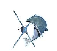 Abanico holográfico 3D Máquina publicitaria holográfica 43/52/56/10 0cm TAMAÑO ANTERIOR ANTERIOR ANTERIOR ANTERIOR DE PROYECCIÓN Holográfica 3D Decoraciones del partido Imaginación giratoria Para cart