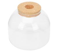 Abaodam 1 juego de soporte de terrario para botella de vidrio con diseño de micro paisaje, recipiente decorativo para el hogar y la oficina, adorno creativo de plantas de musgo con tapón de corcho