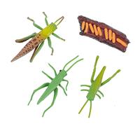 Abaodam 1juego Figuras De Insectos para Educación Temprana Decoraciones De Escritorio Modelos De Ciclo De Vida Realistas Juguetes De Crickets para Aprendizaje Infantil