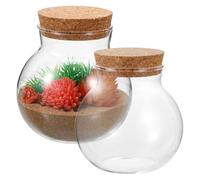Abaodam 2 Botellas de Vidrio Esféricas Fáciles de Limpiar Tapón de Corcho y Diseño Moderno Superficie Lisa para Terrario Micro Paisaje para Plantas de Musgo
