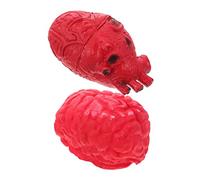 Abaodam 2Piezas Accesorios de Halloween Simulación de y Corazón Órganos Falsos para Decoración Terrorífica para Bromas y Fiestas de Halloween