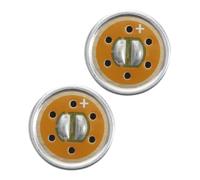 Abaodam 2piezas Micrófono De Condensador Núcleo De Micrófono Cancelación De Ruido para Equipo De Grabación De Música Protección contra Viento y Golpes para Grabación