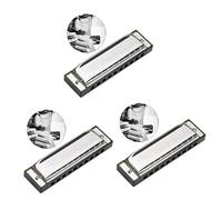 Abaodam 3 Piezas 10 Arpa De Blues Armónica Para Principiantes Harmónica De Plata De Blues s es C Arpa Silver