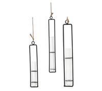 Abaodam 3 Piezas Jarrones de Colgantes Hidropónicos con Soporte de Hierro para Decoración de Pared Interiores y Exteriores para Plantas y Flores