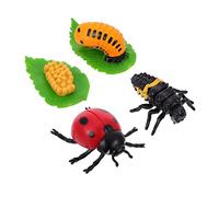 Abaodam 4piezas Figuritas De Ciclo De Crecimiento De Mariquita De Decoración Educativa para Niño Niña Juguete Realista para Aprendizaje Naturaleza Desarrollo Infantil