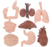 Abaodam 8 Piezas Modelo de Órganos Humanos de Material Didáctico para Enseñanza de Anatomía de Órganos Realistas Estudiantes Incluye Corazón Pulmones y Intestinos Juguete Educativo