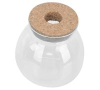 Abaodam Botella de Transparente para Micro Frasco Ecológico con Tapón de Decoración Creativa para Oficina y Jardín Fácil