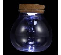 Abaodam Botella para Micropaisaje y Pecera Luz LED Terrario de Vidrio Ecológico de 55 Pulgadas para Decoración Interior y Exterior