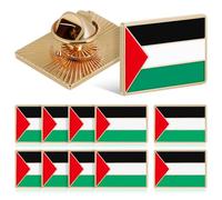 Abaodam Broche de Bandera de Palestina 12 Piezas, Pin de Aleación 2.5x1.8 Cm, Insignia de Solapa para Mochila y Ropa, Accesorio Patriótico Masculino y Femenino para Uso Diario