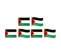 Abaodam Broches de Bandera Palestina Metálicos 6 Piezas Diseño Cuadrado y Ondeante, Pines Patrióticos para Ropa, Trajes y Accesorios, Conjunto para Hombre y Mujer, Adecuado para Vestir