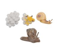 Abaodam Figuras de Caracoles Artificiales para Educación Infantil Juguete de Ciclo de Estatua de Animales para Niños Decoración de Escritorio Kit de Juguete Educativo