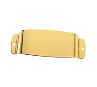 Abaodam Funda Protectora para Pastillas Aleación de Zinc, Dorada M01725, Accesorio para Guitarra Eléctrica, Protección contra Daños y Ruido, Adecuado para Músicos