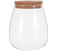 Abaodam Jarrón Hidropónico Grande de Vidrio con Tapón de Corcho y Soporte de Bambú, Vaso para Propagación de Plantas de Interior, Macetero Hidropónico para Cultivo en Agua, Decoración