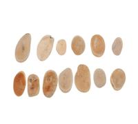 Abaodam Juego de Relleno para Jarrones de Madera Flotante Beige, Decoración Versátil y Duradera para Bodas y Hogares Diseño Estilizado y Forma Dinámica