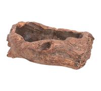 Abaodam Maceta De Cactus y Suculentas Forma De Raíz Tallada para Decoración De Escritorio y Hogar, Maceta De Cemento Tamaño Único, Diseño Rústico Natural para Interiores y Exteriores