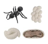 Abaodam Modelos de Juguete de Evolución de Hormigas Obreras para Niños, 4 Unidades, Simulación Educativa del Ciclo de Crecimiento para Aprendizaje Temprano en Casa y Escuela