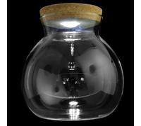 Abaodam Terrario Botella de Borosilicato con Tapa de Madera, Pecera Pequeña para DIY Micro Paisaje y Adorno de Habitación con Luz LED Fácil de Observar