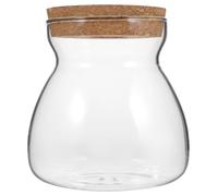 Abaodam Terrario de Cristal Tapa Perforada, Tamaño Mediano Trapezoidal, Contenedor para Plantas Hidropónicas y Micropaisajes, Jarra Ecosistémica para Decoración Interior y Jardinería