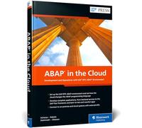 ABAP in the Cloud: ABAP in the Cloud Environment
