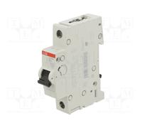 ABB 2CDS271001R0065 Interruptor magnetotérmico