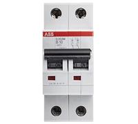 ABB 2CDS272001R0105 - Int.aut. s202m-b10 2p 10a b 15ka