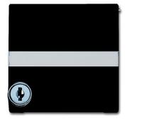 ABB Adaptador Busch-Jaeger con texto y ranura de bloqueo IP44 - 2CKA001710A3790