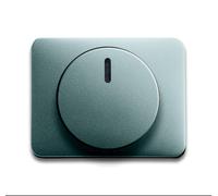 ABB Busch-Jaeger Elemento De Control Alpha/Conmutador De Placa Central - 2CKA006599A2855