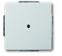 ABB Busch-Jaeger Elemento De Control/placa Central De Conmutación De Acero Inoxidable Puro - 2CKA001710A3751