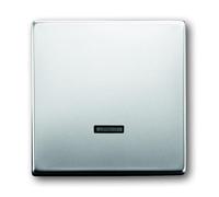 ABB Busch-Jaeger Elemento De Control/placa Central De Conmutación De Acero Inoxidable Puro - 2CKA006599A2926