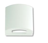 ABB Busch-Jaeger Placa de cubierta 50x50 en blanco mate - 2CKA001710A3876