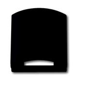 ABB Busch-Jaeger Placa de cubierta negro mate 50x50mm 1746-885 - 2CKA001710A3898