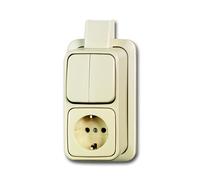 ABB Conmutador combinado Busch-Jaeger con placa de montaje - 2CKA001641A0234