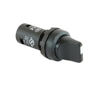 ABB Interruptor selector C2SS2-10B-20 • Interruptor giratorio mantenido de 2 posiciones • 2 contactos NO • Mango negro corto • Interruptor de control compacto no iluminado • 24-300 V • Montaje en
