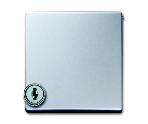 ABB Placa adaptadora Busch-Jaeger con cerradura para SI IP44 Alu - 2CKA001710A3789