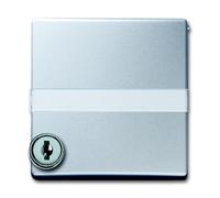ABB Placa adaptadora Busch-Jaeger con ranura central IP44 - 2CKA001710A3796