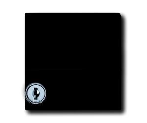 ABB Placa adaptadora Busch-Jaeger con texto y función de bloqueo - 2CKA001710A1985