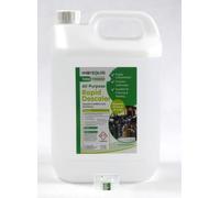 Abbeychart - Líquido descalcificador de ácido fosfórico, 5 litros para limpiar y descalcificar suelos duros, ventanas, paredes