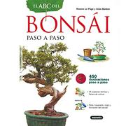 Abc Del Bonsai Paso A Paso