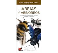 Abejas y abejorros (GUIAS DESPLEGABLES)