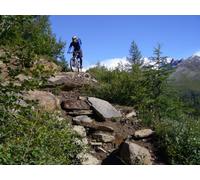 Abenteuer Alpencross 2 - Transalp auf der Albrecht-Route [Alemania] [DVD]