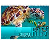 Abenteuer Riff - bunte Unterwasserwelt (Wandkalender 2026 DIN A2 quer), CALVENDO Monatskalender: Fantastische Unterwasseraufnahmen zeigen das ... an ... an paradiesischen Korallenriffen der Erde