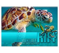 Abenteuer Riff - bunte Unterwasserwelt (Wandkalender 2026 DIN A3 quer), CALVENDO Monatskalender: Fantastische Unterwasseraufnahmen zeigen das ... an paradiesischen Korallenriffen der Erde