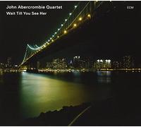 Abercrombie, John - Wait Till You See Her